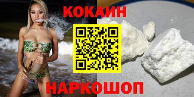 спиды Новозыбков