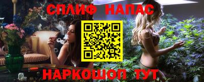 индика Новокубанск