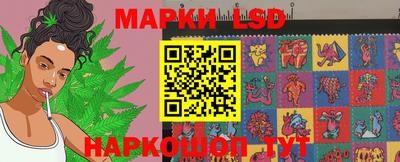 шишки Новодвинск