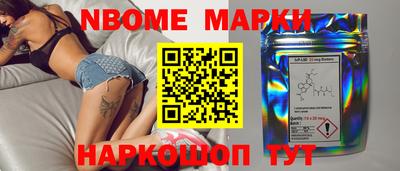 шишки Новодвинск