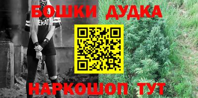 индика Новокубанск