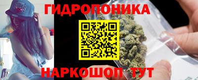 шишки Новодвинск
