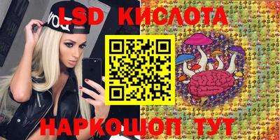 спиды Новозыбков