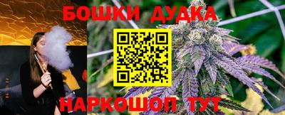 шишки Новодвинск