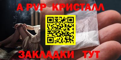 спиды Новозыбков