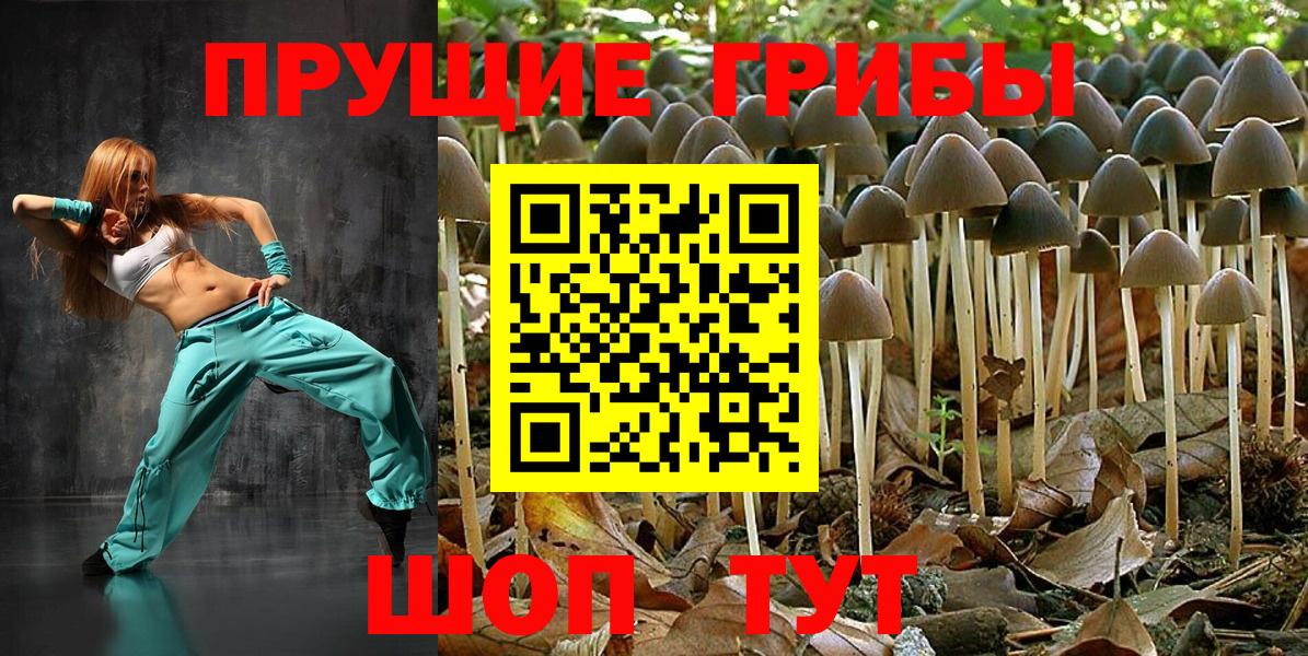 Псилоцибиновые грибы GOLDEN TEACHER  Вход с VPN  Советская Гавань  Псилоцибиновые грибы ЛСД 