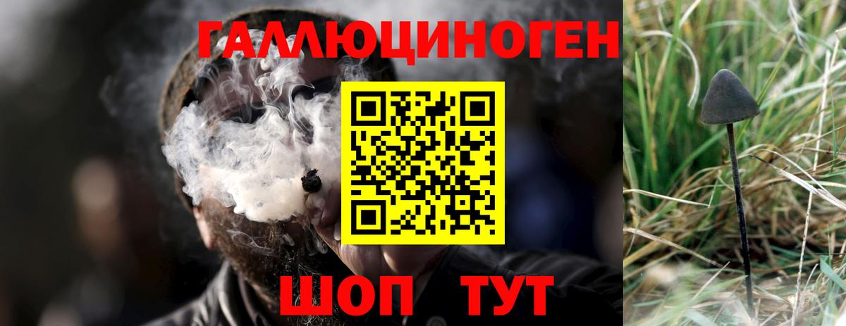Псилоцибиновые грибы GOLDEN TEACHER Советская Гавань