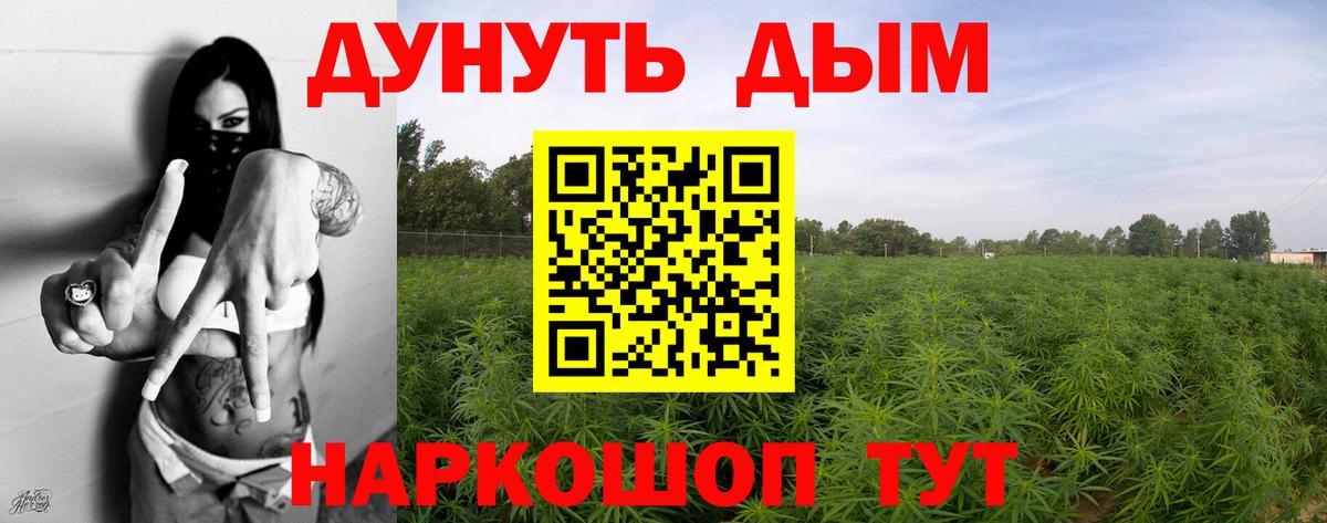 Бошки Шишки Amnesia  МАРИХУАНА семена  Вход с VPN  Конопля Ganja  Бошки Шишки THC 21%  Советская Гавань 
